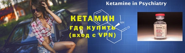 гидра Елизово