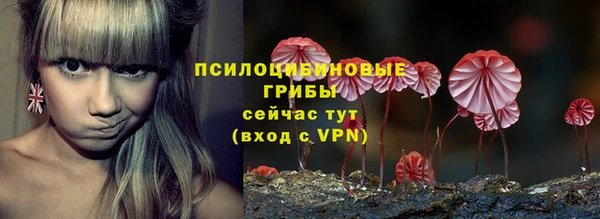 дживик Белоозёрский